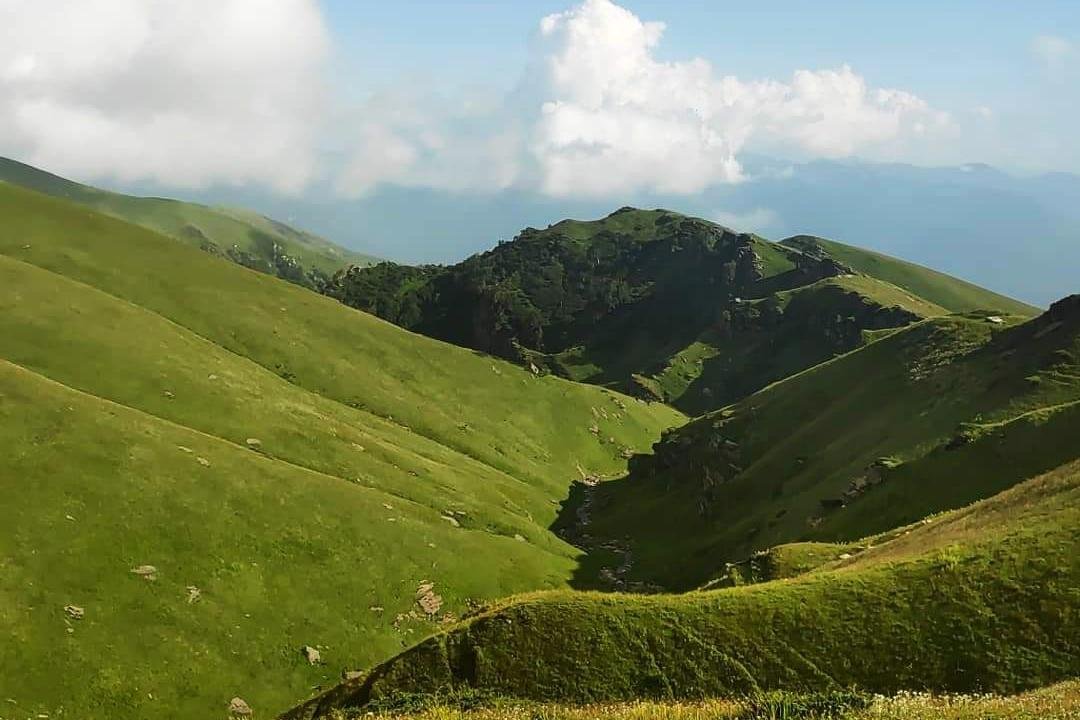 Lush green mountain