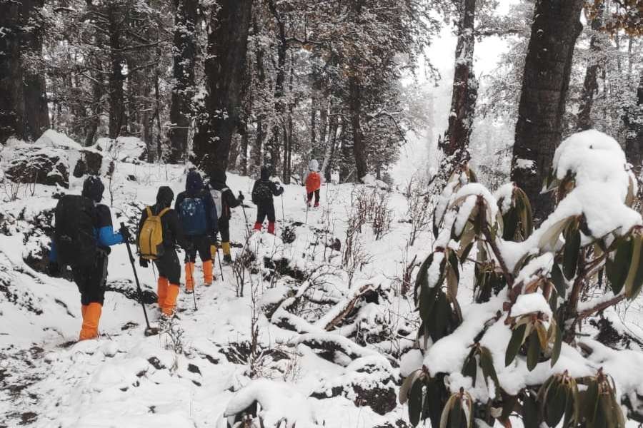 Trekking after snowfall