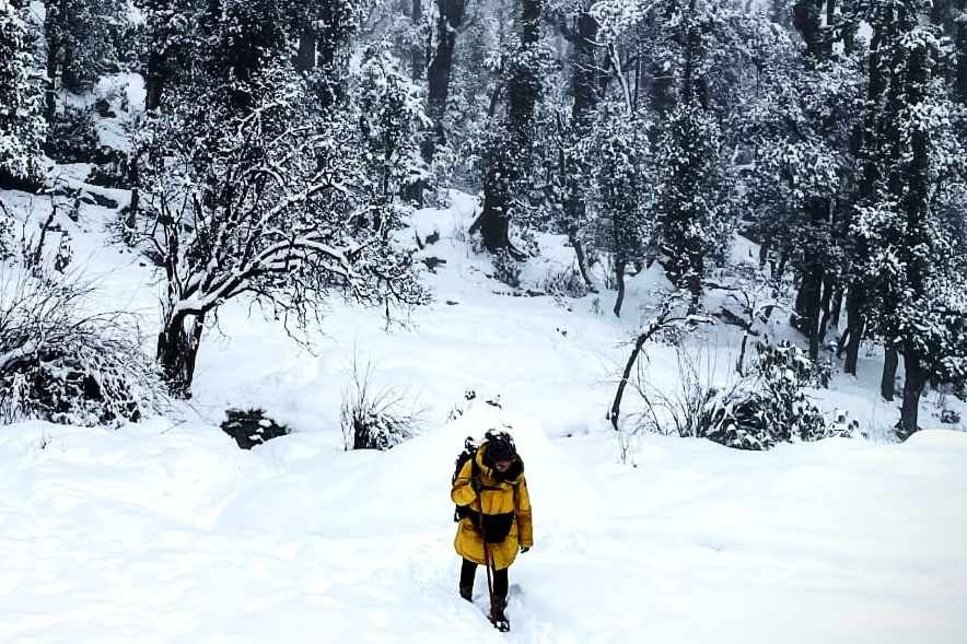 Trekking to summit 