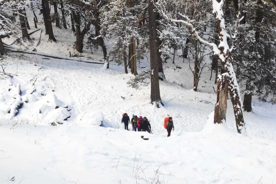 Kuari pass trek in winter