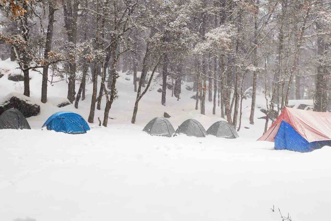 Snow camping in between forest