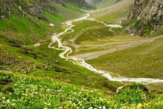 Chikka valley blooming flowers