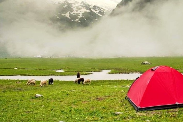 Red tent in green meadow